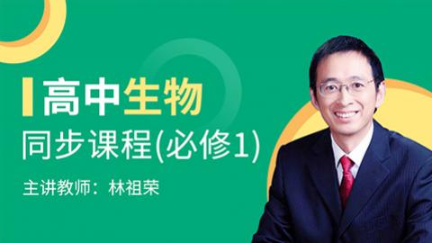 默认计划 
