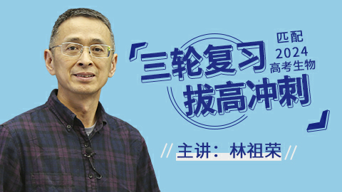 默认计划 